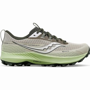 Men's Saucony Peregrine 13 GTX Running Shoes Dust / Umbra | SG S15782-B97