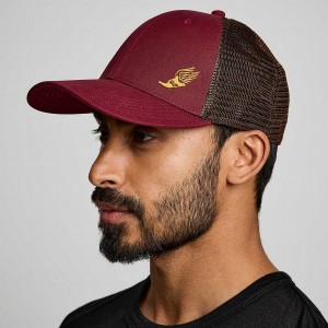 Men's Saucony Trucker Hats Red | SG S85641-A82