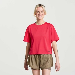 Women's Saucony Elevate Short Sleeve T Shirts Rose | SG S78694-P21