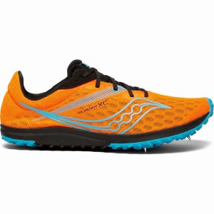 Women's Saucony Kilkenny XC9 Spike Track Spikes Blue | SG S90521-F75