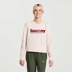 Women's Saucony Rested Crewneck Sweatshirt Rose | SG S54327-K28