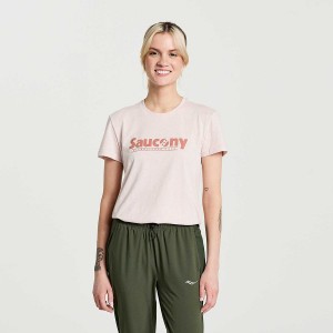 Women's Saucony Rested T Shirts Rose | SG S53918-V80