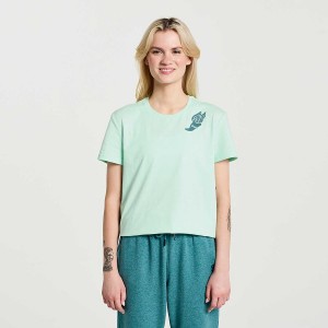 Women's Saucony Rested T Shirts Turquoise | SG S52064-B60