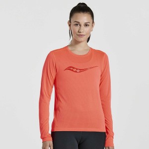 Women's Saucony Stopwatch Graphic Long Sleeve T Shirts Red | SG S59043-F42