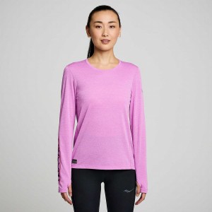 Women's Saucony Stopwatch Graphic Long Sleeve T Shirts Purple | SG S90356-J64