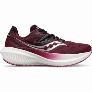 Women's Saucony Triumph 20 Running Shoes Red / Rose | SG S41320-X57