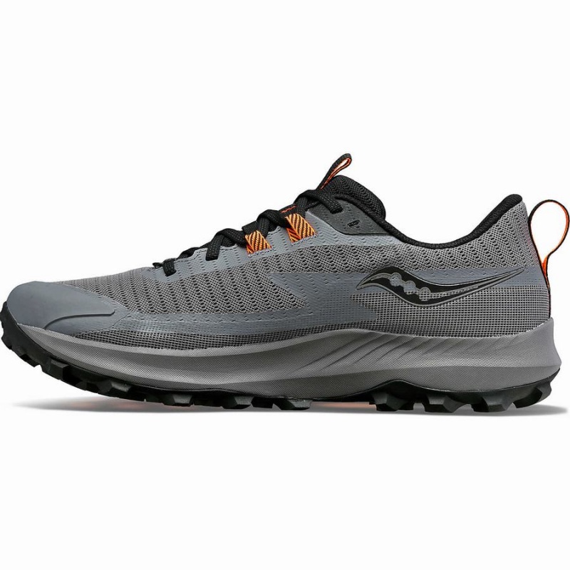 Men's Saucony Peregrine 13 GTX Running Shoes Grey / Black | SG S41720-V90