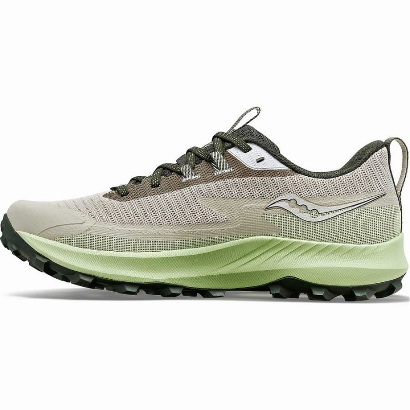 Men's Saucony Peregrine 13 GTX Running Shoes Dust / Umbra | SG S15782-B97