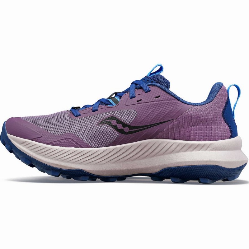 Women's Saucony Blaze TR Running Shoes Purple / Indigo | SG S16724-D62