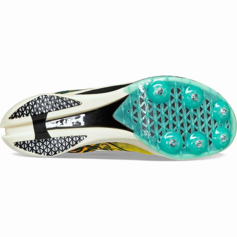 Women's Saucony Endorphin Cheetah Track Spikes Black | SG S97521-R43