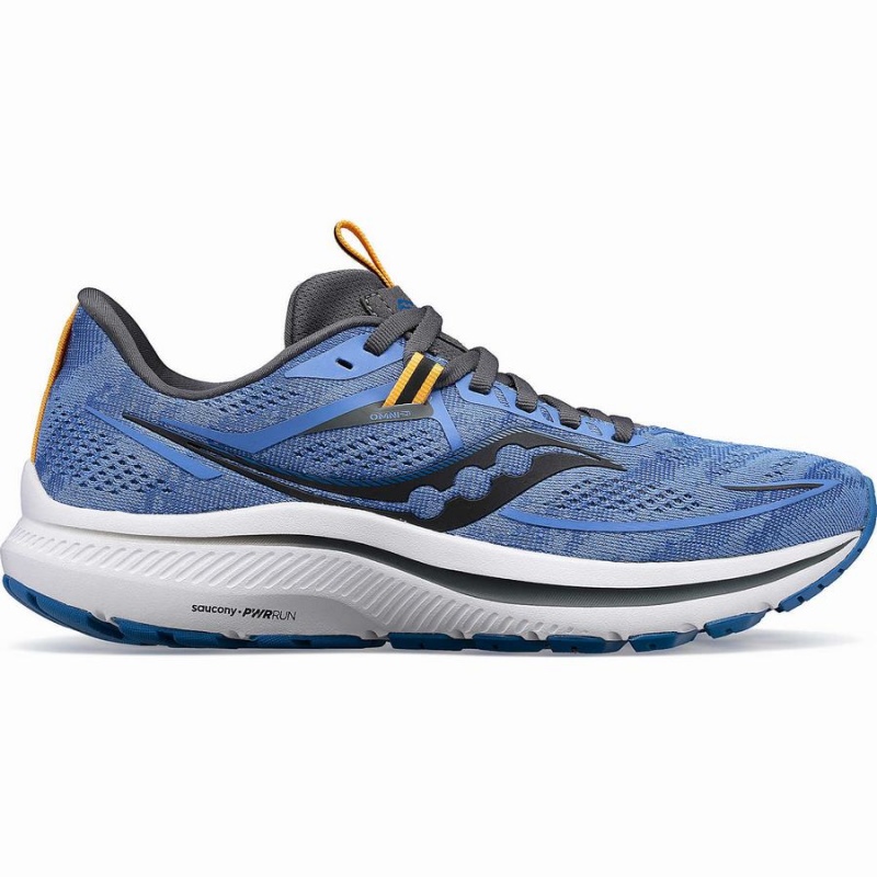 Women\'s Saucony Omni 21 Running Shoes Blue / Grey | SG S52831-C82