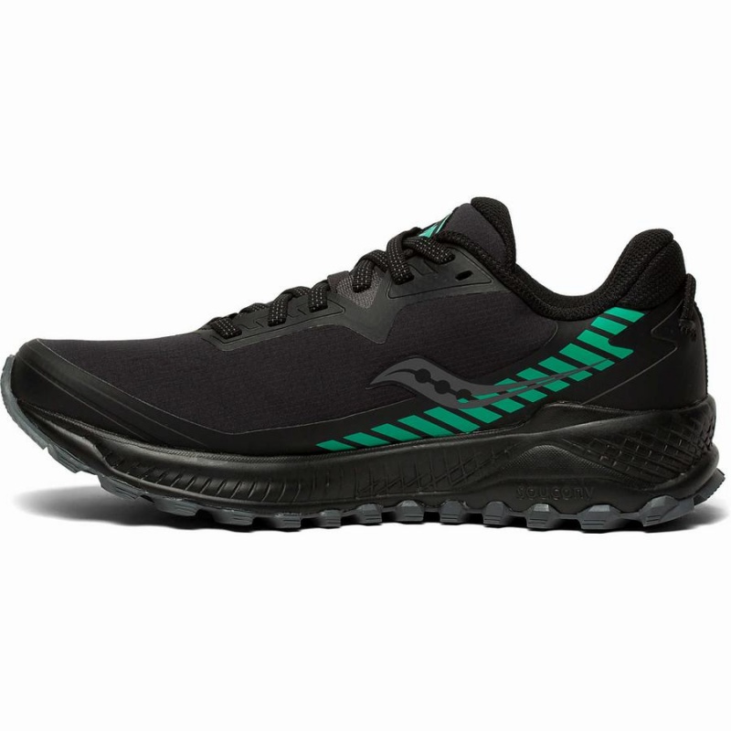 Women's Saucony Peregrine ICE+ Trail Running Shoes Black | SG S32764-J94