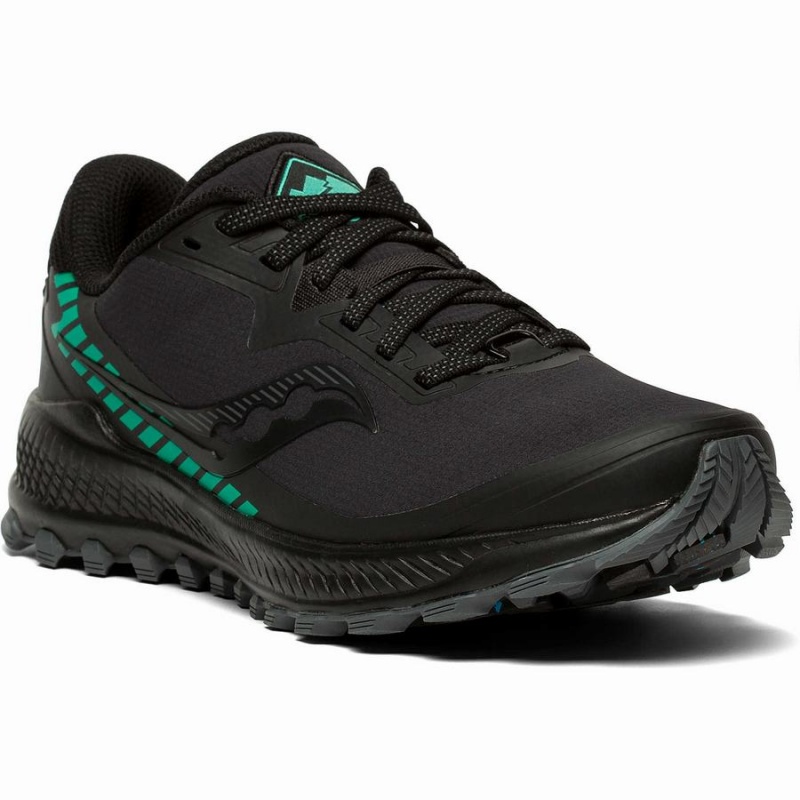 Women's Saucony Peregrine ICE+ Trail Running Shoes Black | SG S32764-J94