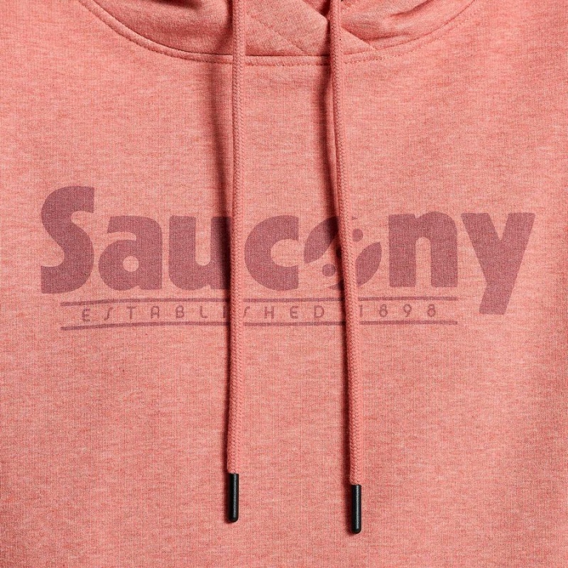 Women's Saucony Rested Hoodie Soot Heather Graphic | SG S80425-R41