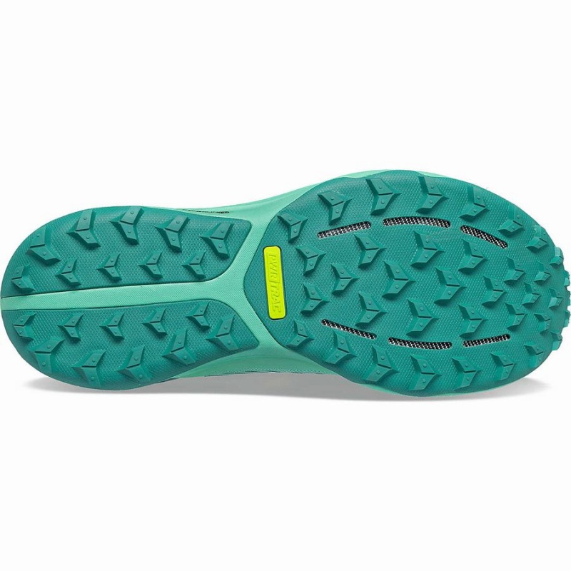 Women's Saucony Ultra Ridge GTX Running Shoes Turquoise | SG S46530-Y48